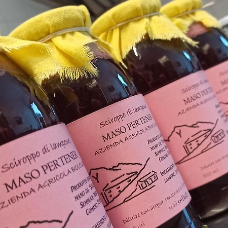 Agriturismo Maso Pertener -Adults Friendly- 코마노테르메 외부 사진
