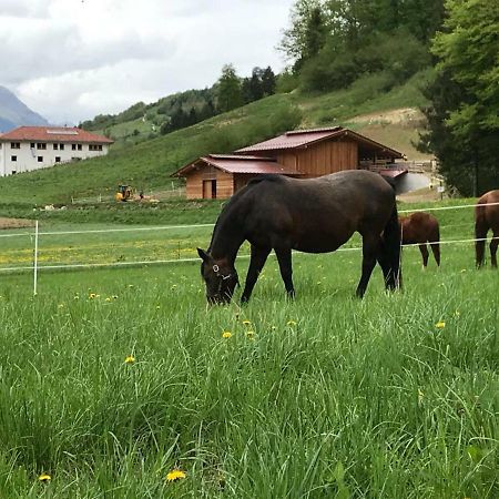 Agriturismo Maso Pertener -Adults Friendly- 코마노테르메 외부 사진
