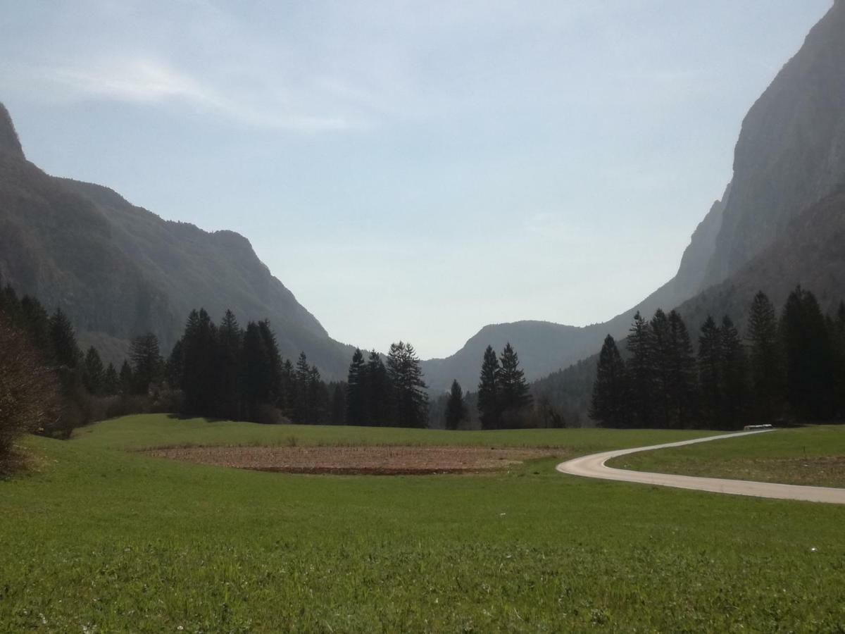Agriturismo Maso Pertener -Adults Friendly- 코마노테르메 외부 사진