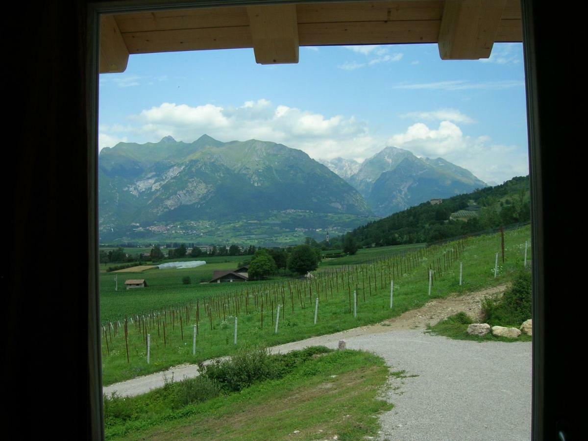 Agriturismo Maso Pertener -Adults Friendly- 코마노테르메 외부 사진