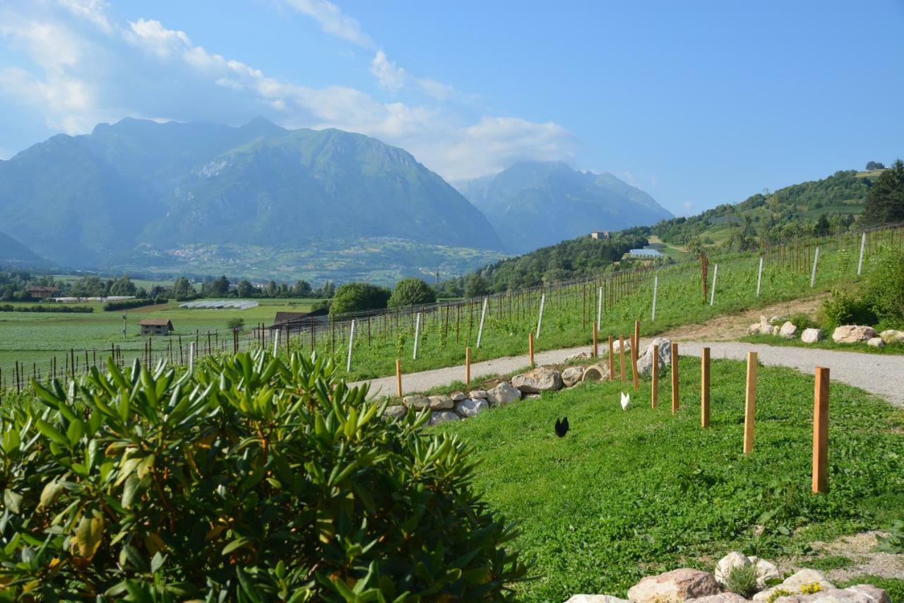 Agriturismo Maso Pertener -Adults Friendly- 코마노테르메 외부 사진