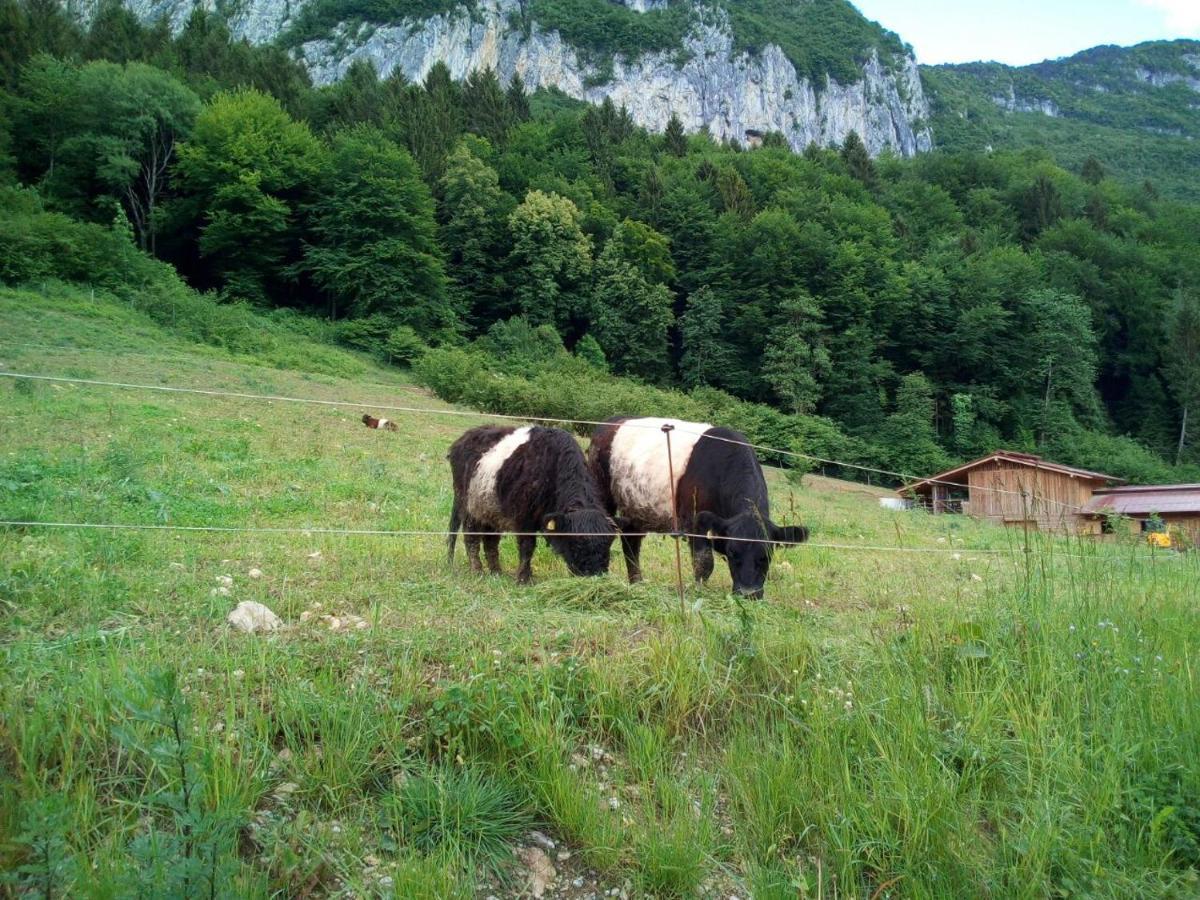 Agriturismo Maso Pertener -Adults Friendly- 코마노테르메 외부 사진