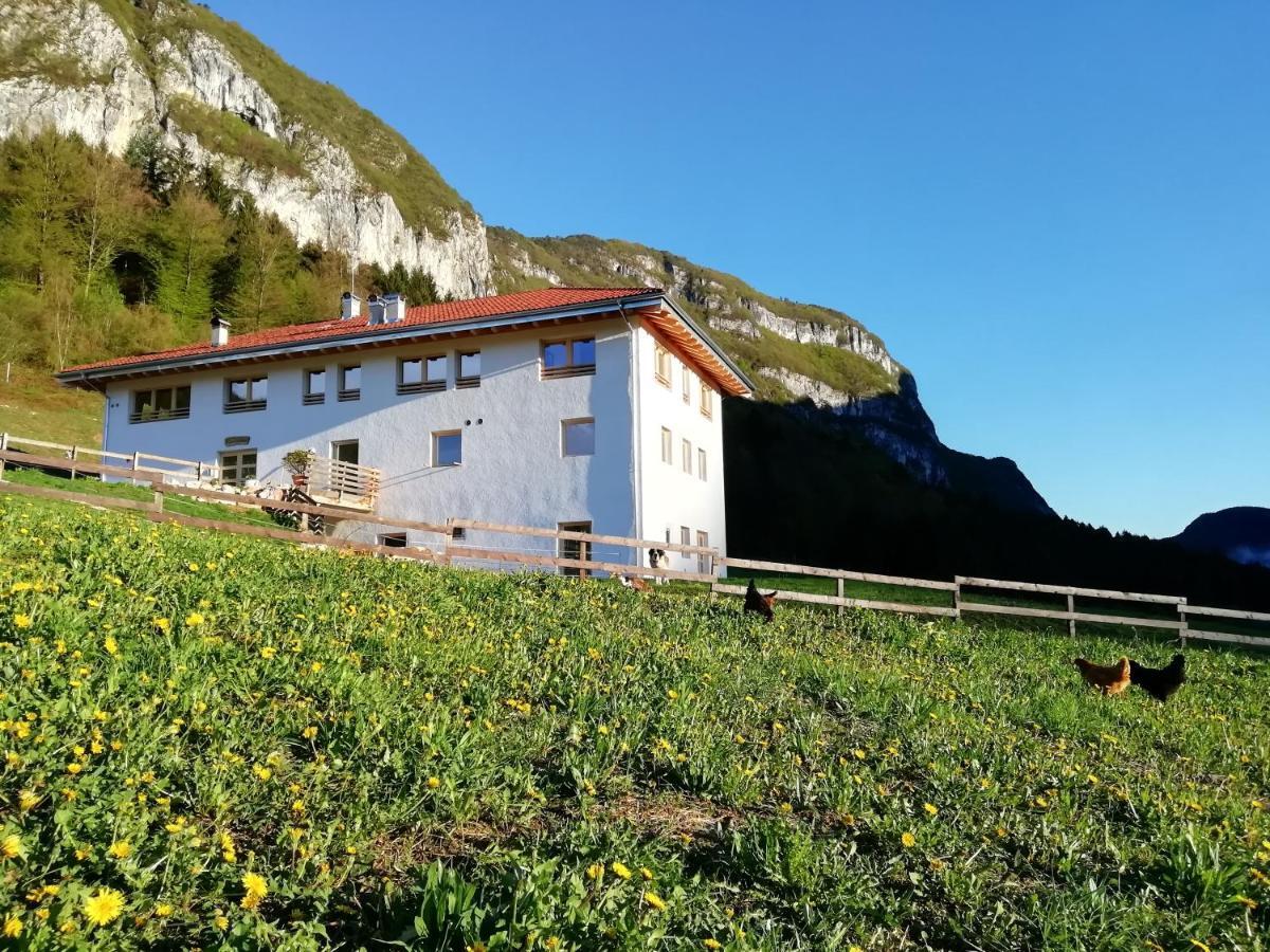 Agriturismo Maso Pertener -Adults Friendly- 코마노테르메 외부 사진